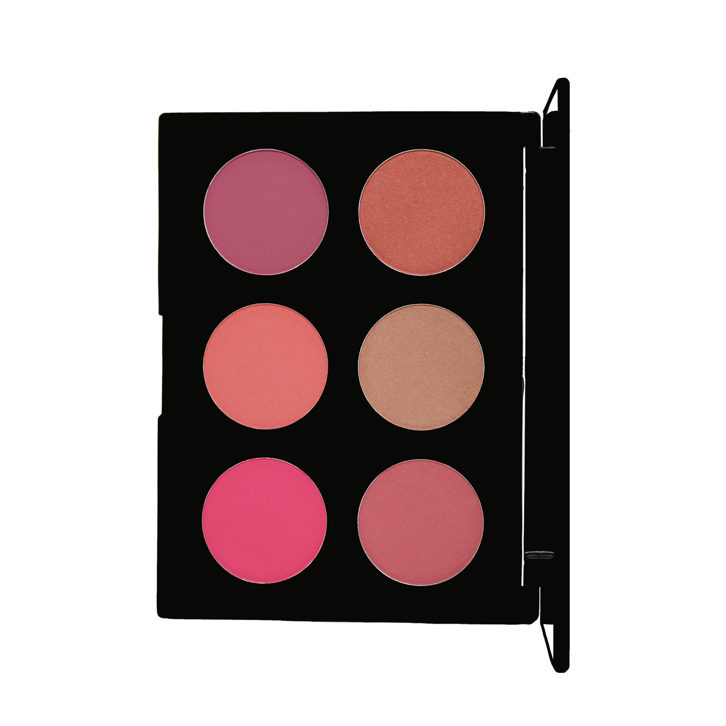 BLUSH PALETTE 600