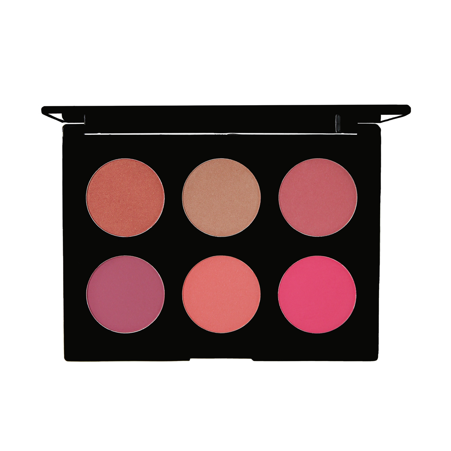 BLUSH PALETTE 600