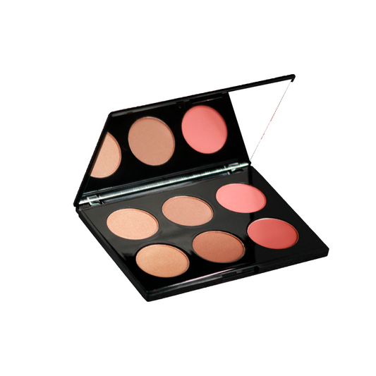 PRO CHEEK PALETTE 6 SHADES