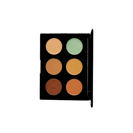 CONCEALER PALETTE 6 SHADES