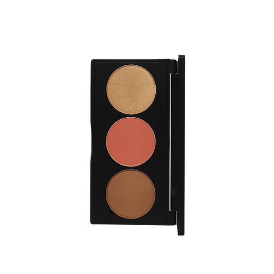 PRO CHEEK PALETTE 3 SHADES 33