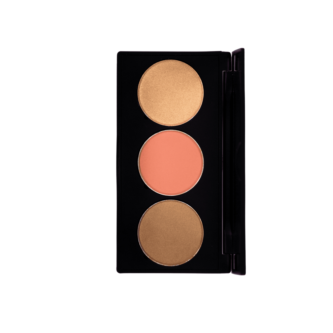 PRO CHEEK PALETTE 3 SHADES 34